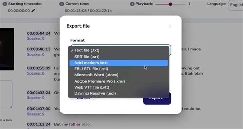 Subtitles File Types: A Complete Guide – SubtitleO.